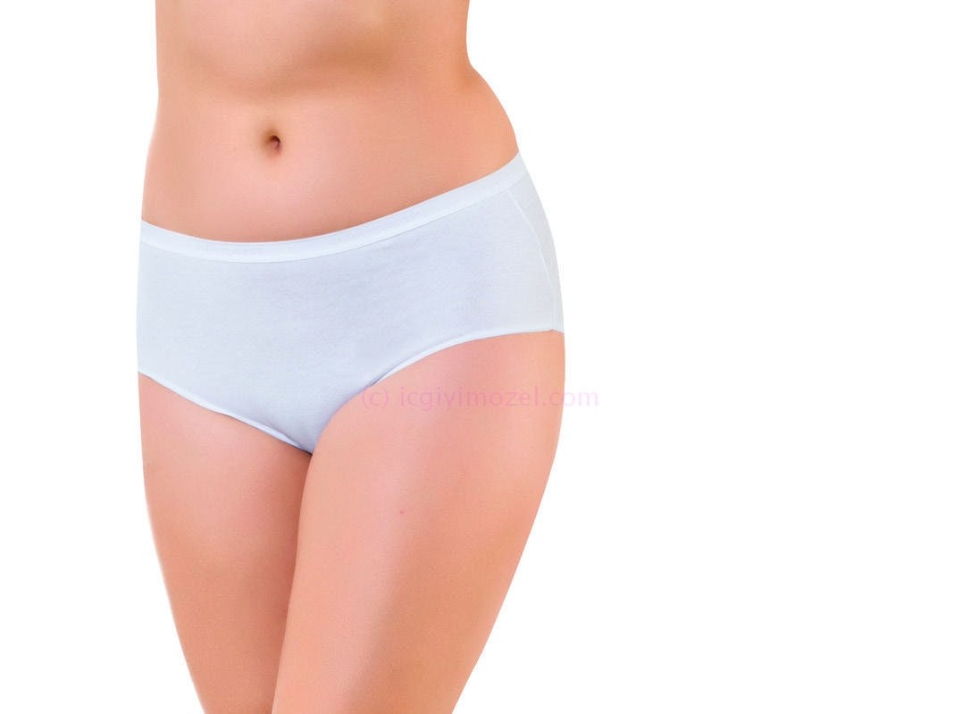 Öztaş Yüksek Bel Dikiş Detaylı Külot Öztaş 2802