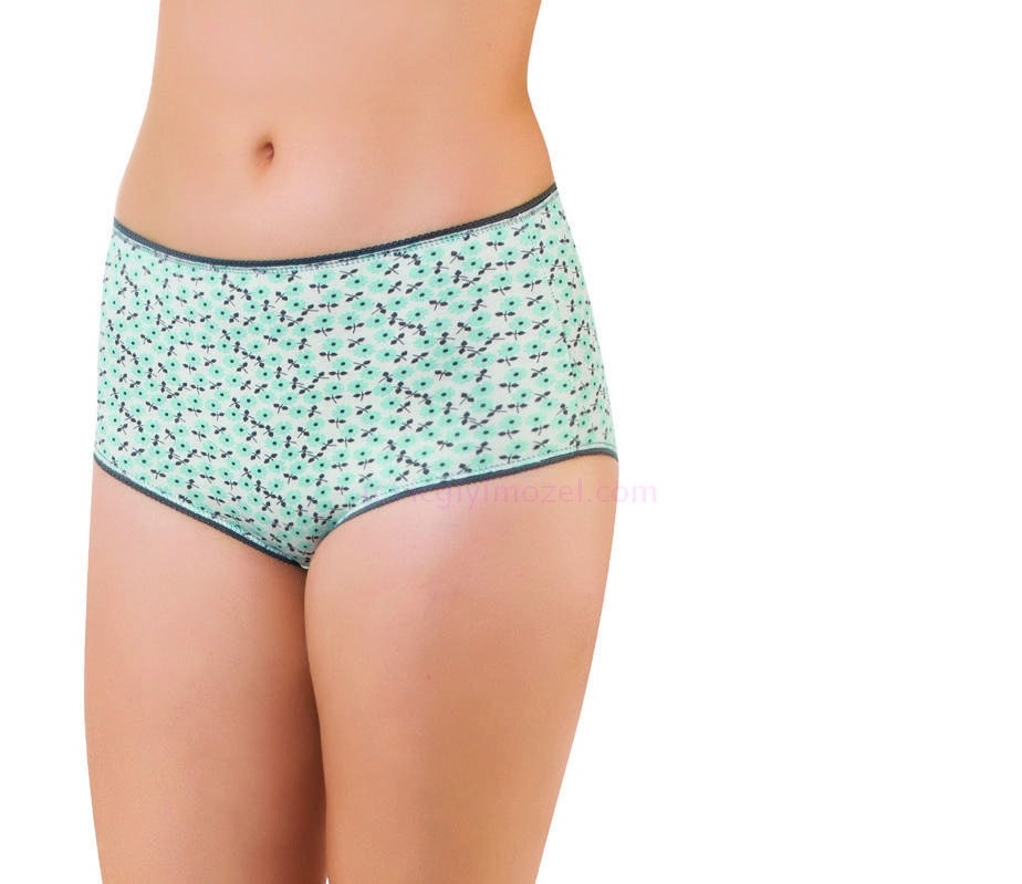 Yüksek Bel Karın Destekli Bato Külot  Öztaş 2749 - Renkli