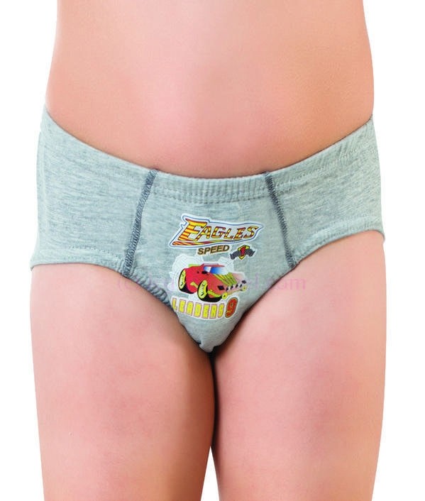 %100 Pamuk Yumuşak Lastik Dörtlü Slip Öztaş 3116 - Renkli