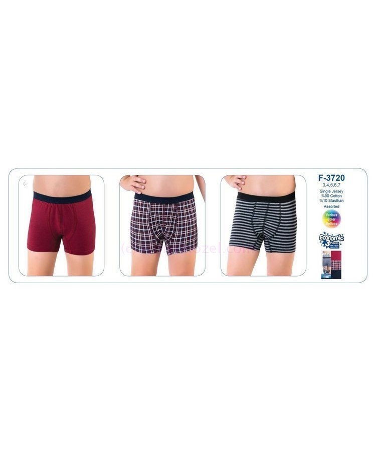 Pamuklu Elastan Esnek Boxer Öztaş 3720 - Renkli