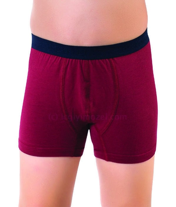 Pamuklu Elastan Esnek Boxer Öztaş 3720 - Renkli