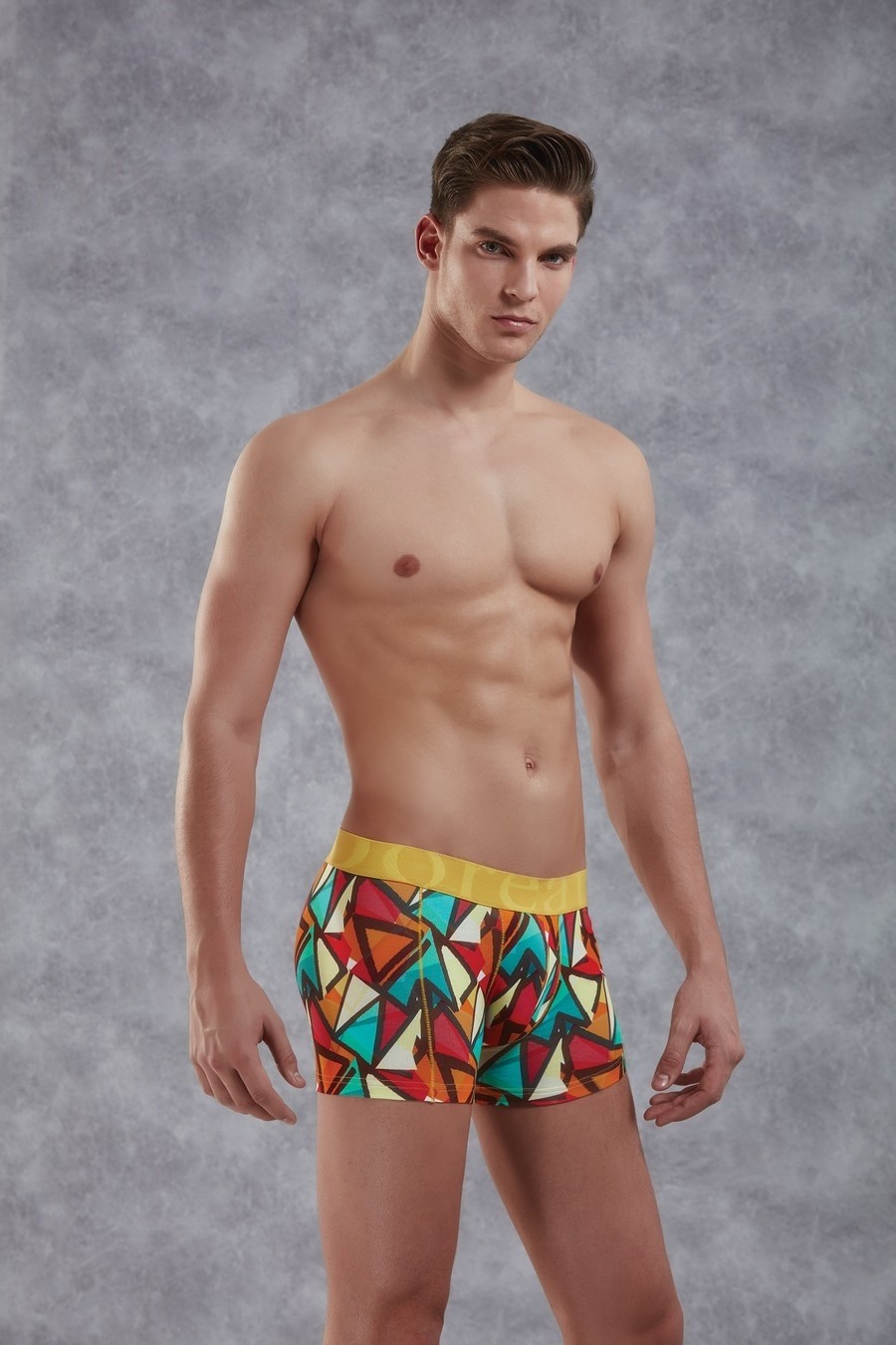 Geometrik Desenli Modal/Pamuk Boxer Doreanse 1873 - Baskılı