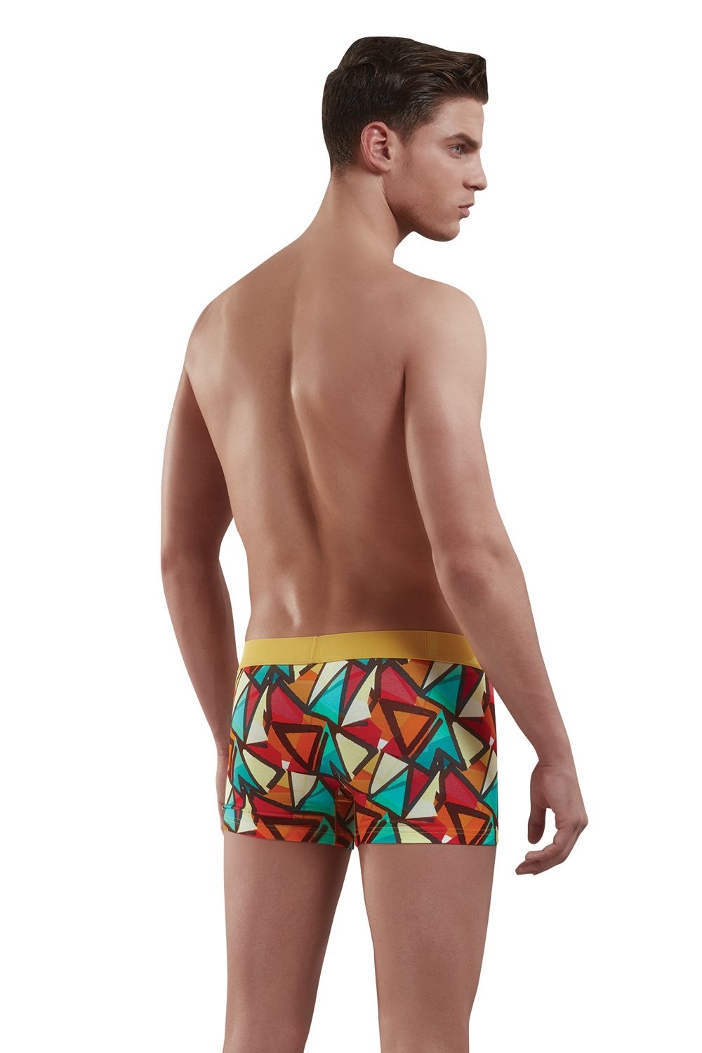 Geometrik Desenli Modal/Pamuk Boxer Doreanse 1873 - Baskılı