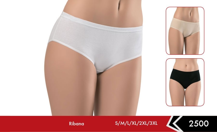 Yüksek Bel Karın Destekli Ribana Külot Erdem 2500 - Beyaz