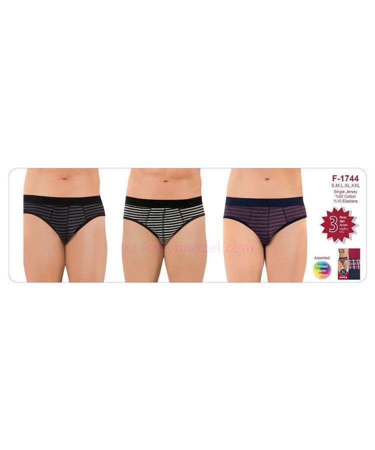 Öztaş Çizgili Pamuklu Slip 3'lü Paket Öztaş 1744 - Görsel 4