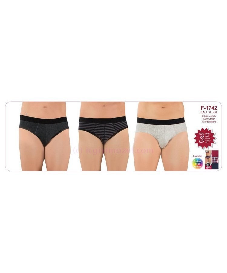 Pamuklu Elastan Erkek Slip 3'lü Paket Öztaş 1742 - Renkli