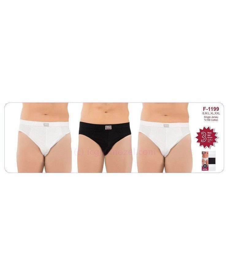 Öztaş Üçlü Tanga Paket Koton Polyester Öztaş 1199 - Görsel 4