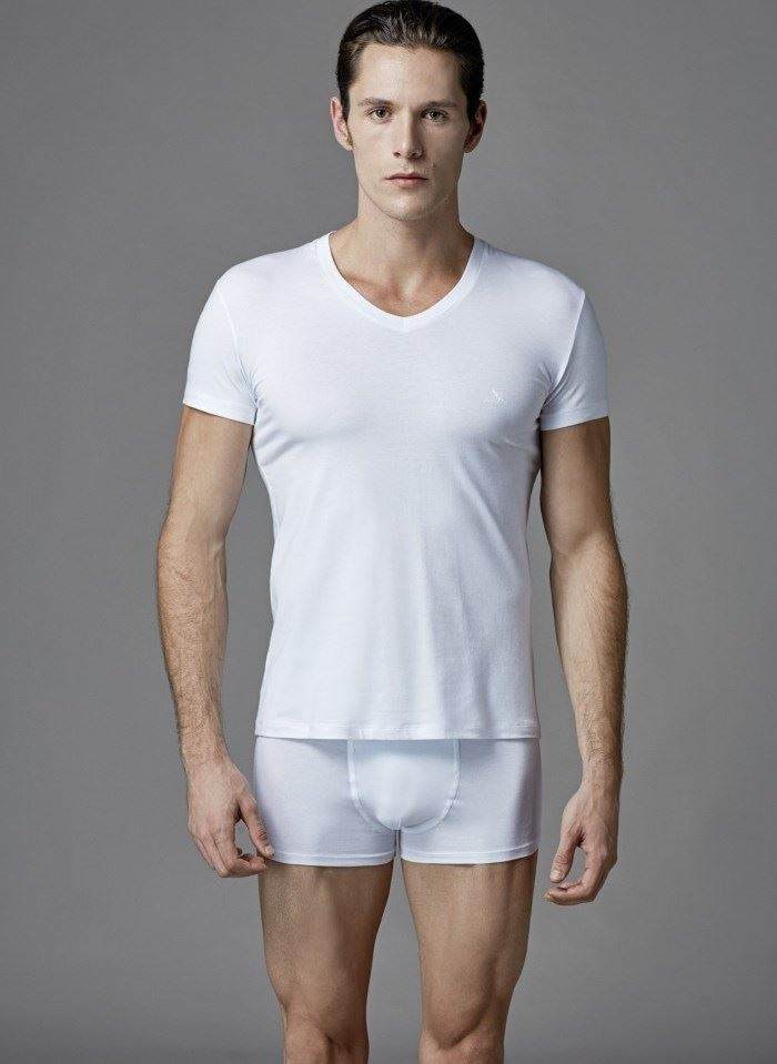 Pamuklu Kısa Kol V Yaka Erkek T-Shirt Eros 039 - Beyaz