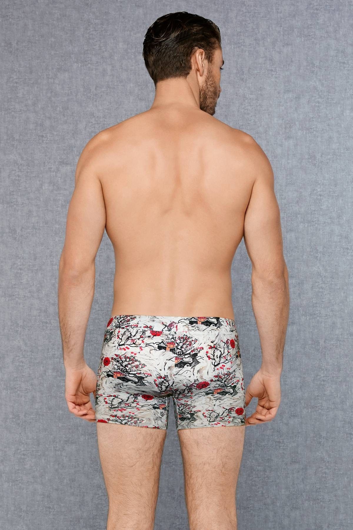 Modal Pamuklu Esnek Bel Lastiği Erkek Boxer Doreanse 1808 - Görsel