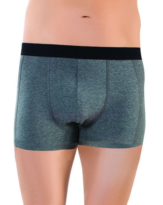 Öztaş Pamuklu Dikişsiz Erkek Boxer Öztaş 1717 - Görsel 7