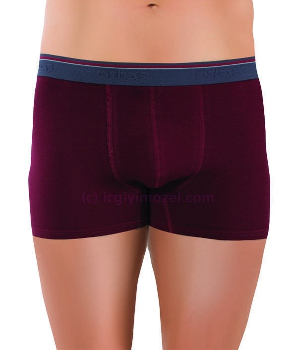 Öztaş Pamuklu Dikişsiz Erkek Boxer Öztaş 1717 - Görsel 8