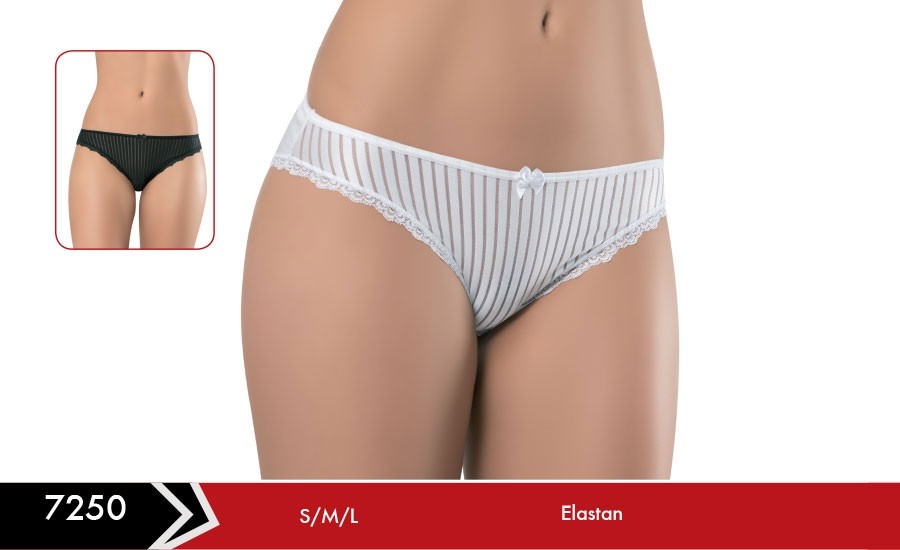 Yüksek Pamuk Oranlı Dikişsiz Slip Külot Erdem 7250 - Beyaz