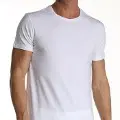 Çift Kaplan Elastanlı T-Shirt 954