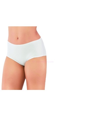 Yüksek Bel Karın Destekli Külot Öztaş 2753