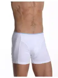 Pamuklu Elastanlı Düz Boxer Çift Kaplan 889