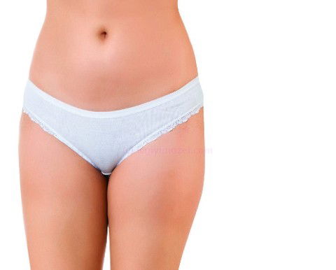 Pamuklu Düz Ribana Slip Külot Öztaş 2145