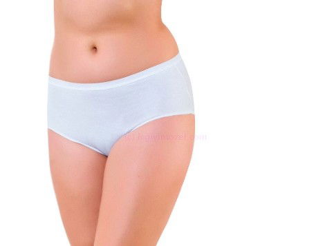 Yüksek Bel Dikiş Detaylı Külot Öztaş 2802