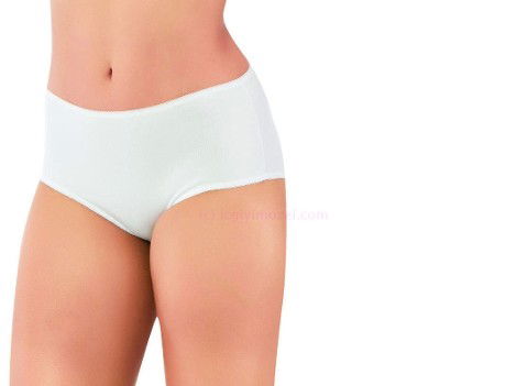 Yüksek Bel Karın Destekli Külot Öztaş 2753