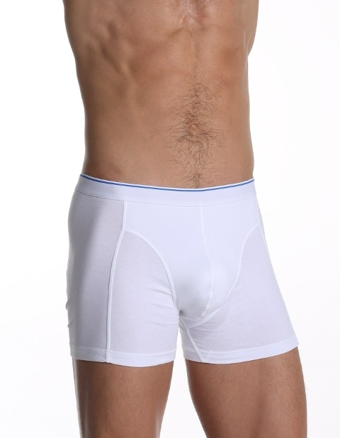 Pamuklu Elastanlı Düz Boxer Çift Kaplan 889