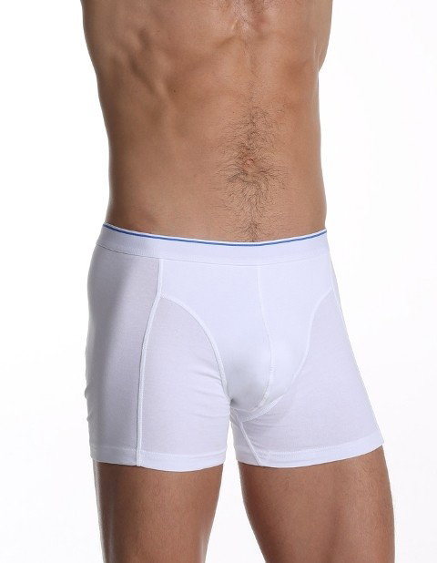 Pamuklu Elastanlı Düz Boxer Çift Kaplan 889