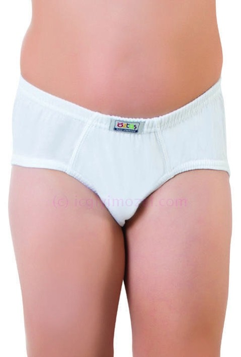 Pamuklu Lastikli Çizgili Slip Külot Öztaş 3153