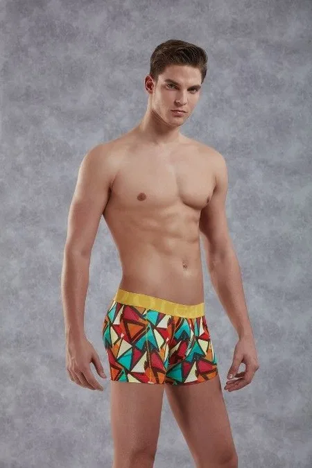 Geometrik Desenli Modal/Pamuk Boxer Doreanse 1873 - Baskılı