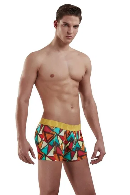Geometrik Desenli Modal/Pamuk Boxer Doreanse 1873 - Baskılı
