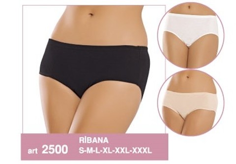 Yüksek Bel Karın Destekli Ribana Külot Erdem 2500 - Siyah