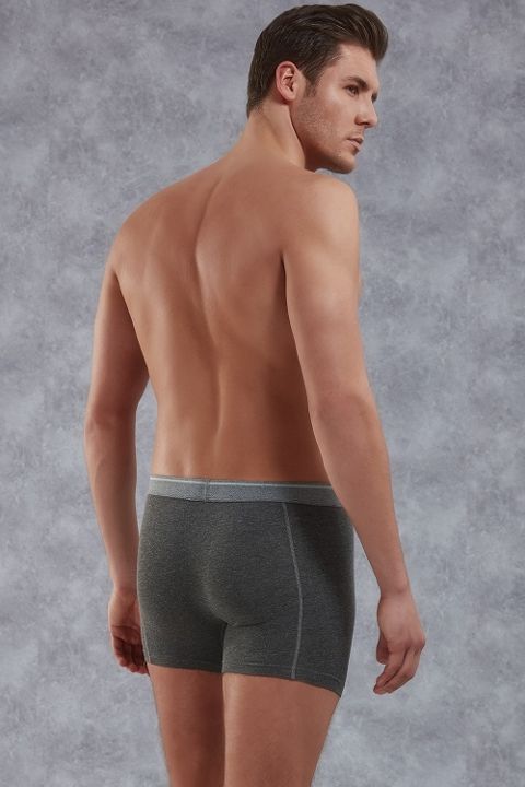 Modal Pamuklu Esnek Bel Boxer Doreanse 1756 - Antrasit