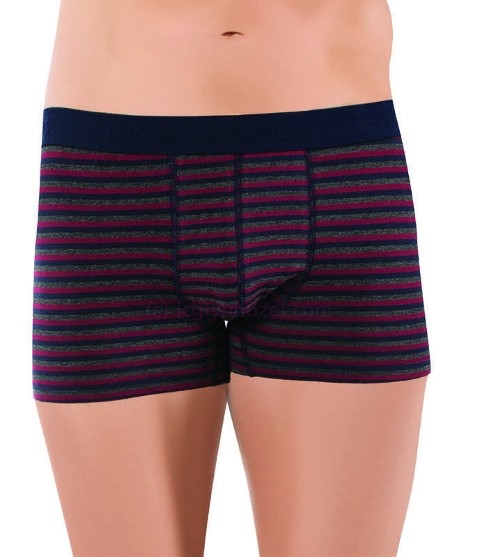 Pamuklu Esnek Bel Lastiği Boxer Öztaş 1743 - Renkli