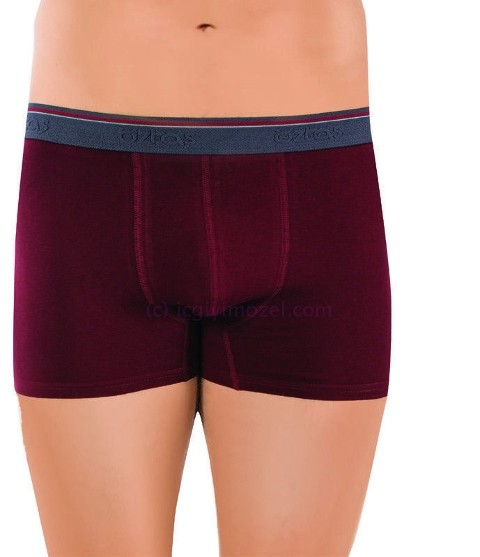 Pamuklu Elastan Boxer Üçlü Paket Öztaş 1740 - Renkli