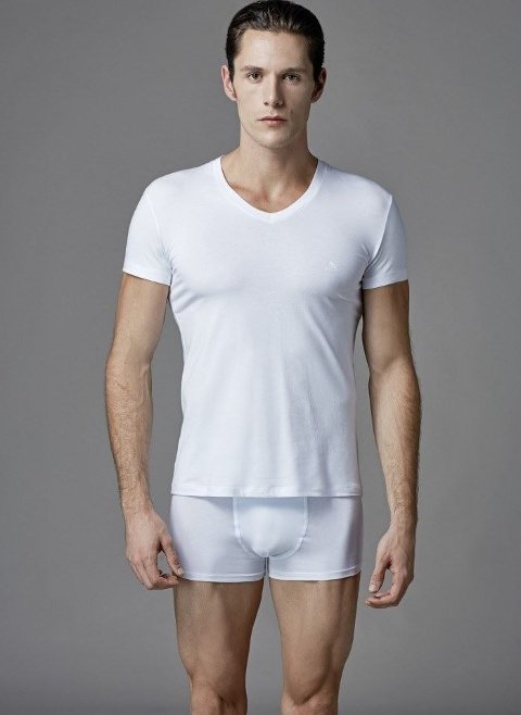 Pamuklu Kısa Kol V Yaka Erkek T-Shirt Eros 039