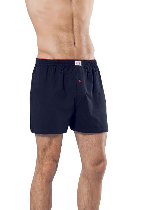 Pamuklu Esnek Bel Boxer HMD 305 - Lacivert