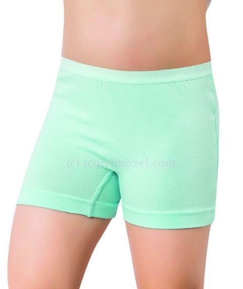 %100 Pamuk Bel Lastikli Kız Çocuk Külot  Öztaş 4726 - Renkli