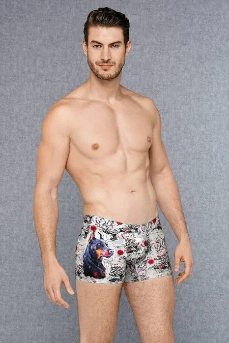 Modal Pamuklu Esnek Bel Lastiği Erkek Boxer Doreanse 1808 - Görsel