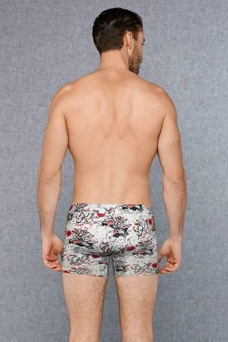 Modal Pamuklu Esnek Bel Lastiği Erkek Boxer Doreanse 1808 - Görsel