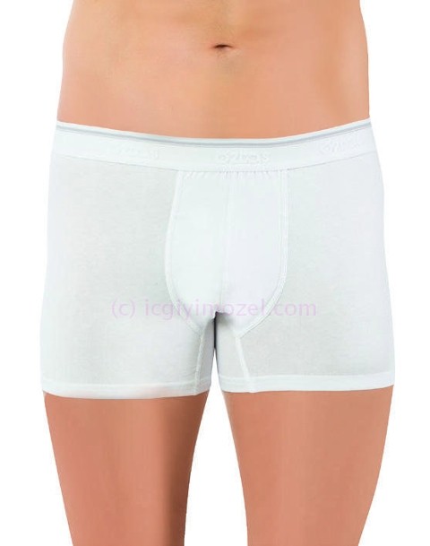 Öztaş Pamuklu Dikişsiz Erkek Boxer Öztaş 1717 - Görsel 5