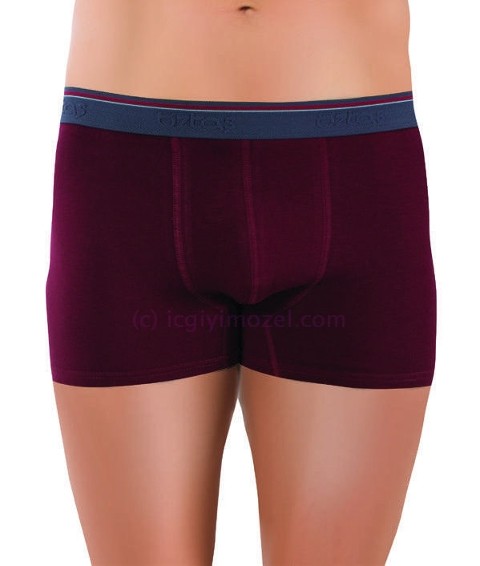 Öztaş Pamuklu Dikişsiz Erkek Boxer Öztaş 1717 - Görsel 8