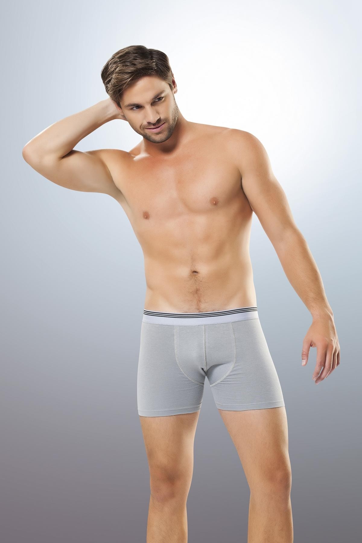 Çizgili Pamuklu Licralı Erkek Boxer Anıt 1252 - Gri