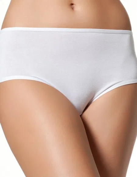 Yüksek Bel Destekli Pamuklu Bato Külot  Çift Kaplan 612