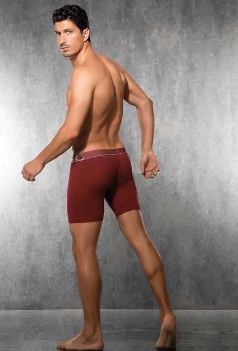 Doreanse Modal Pamuklu Esnek Bel Boxer Doreanse 1782 - Görsel 2