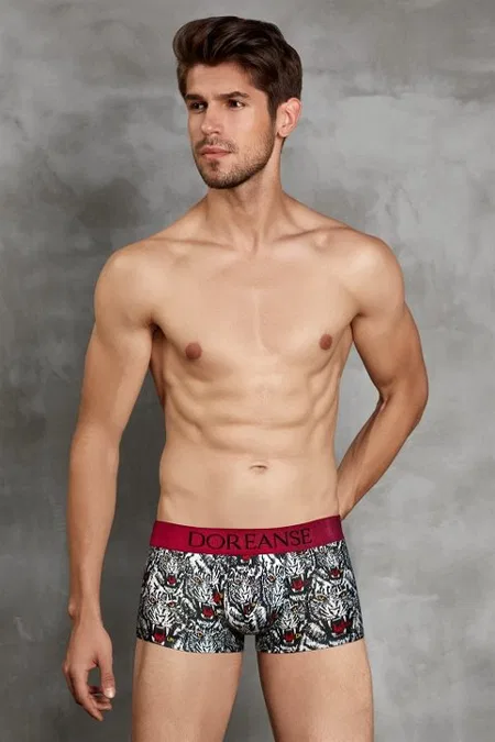 Modal Pamuklu Esnek Bel Lastiği Boxer Doreanse 1712 - Kaplan