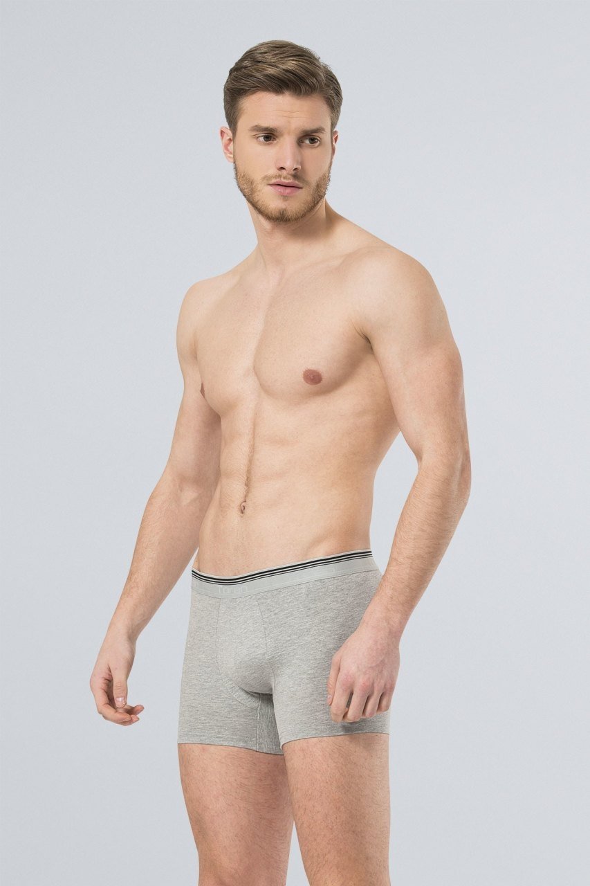 Pamuklu Esnek Bel Boxer (2'li Paket) Türen 126 - Gri