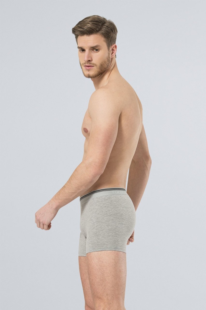 Pamuklu Esnek Bel Boxer (2'li Paket) Türen 126 - Gri