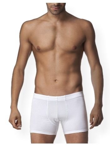 Pamuklu Esnek Bel Lastikli Boxer Çift Kaplan 810