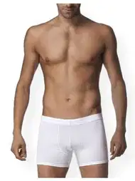 Pamuklu Esnek Bel Lastikli Boxer Çift Kaplan 810