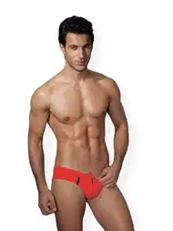 Pamuklu Elastik Doreanse Slip Erkek İç Giyim 1269