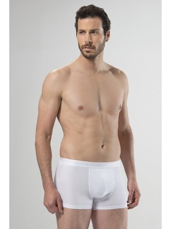 Pamuk Modal Esnek Bel Boxer Cacharel 1405