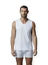 Pamuklu V Yaka Kolsuz T-Shirt 2'li Set Dagi 1070