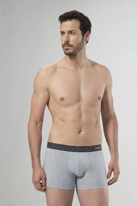 Modal Dikiş Detaylı 2'li Boxer Cacharel 1318 - Gri